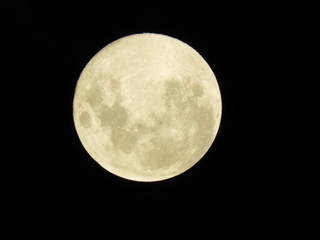 Mooned