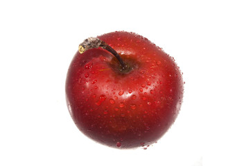 apple isolated on white background