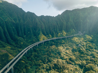 a street in Oahu, Hawaii in the middle of Nature