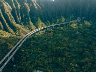 Fototapeta premium a street in Oahu, Hawaii in the middle of Nature