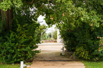 The tree lined avenue