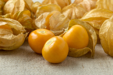 Golden berries or physalis fruit closeup