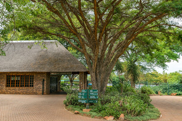 Fototapeta na wymiar National Botanical garden in Pretoria, South Africa. Plants from all over Southern Africa can be seen in this well maintained nature spot.