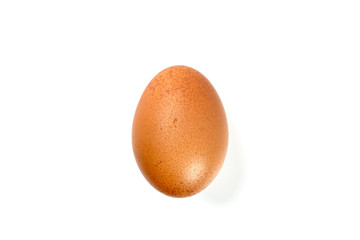 One Egg And White Background 
