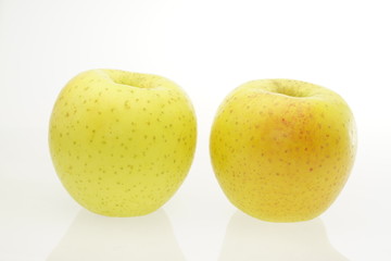 リンゴ　星の金貨　青森県産　白抜き