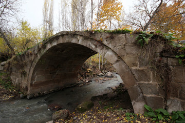 Fototapeta na wymiar historic stone bridge in the forest