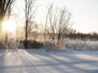 Under the morning sun.