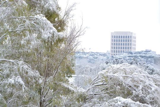 roma d'inverno