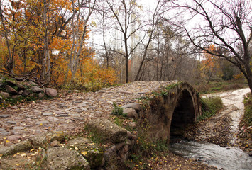 historic stone bridge in the forest