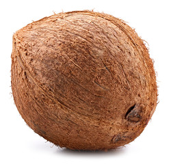 Coconut isolated Clipping Path