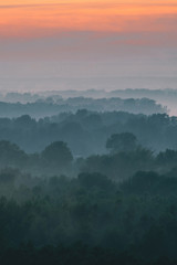 Fototapeta premium Mystical view from top on forest under haze at early morning. Mist among layers from tree silhouettes in taiga under warm predawn sky. Morning atmospheric minimalistic landscape of majestic nature.