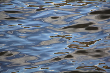 Water and our world reflected in water