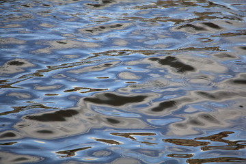 Water and our world reflected in water