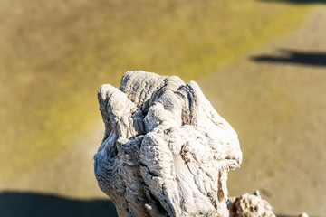 Salz in der Camargue Holz