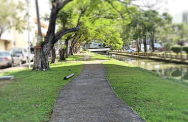 Walkway in the park