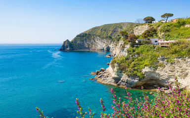Green rocky coast near small village Sant'Angelo on Ischia island, Italy - obrazy, fototapety, plakaty