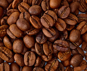 Full bleed coffee beans background with copy space 