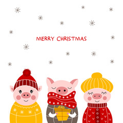 Three cute pigs.