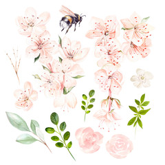 Beautiful watercolor set with spring flowers and leaves. 