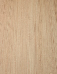 Wood texture Surface of teak wood background