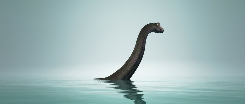 Brachiosaurus Dinosaur In Water.