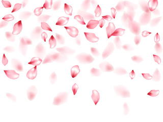 Obraz na płótnie Canvas Pink sakura flower flying petals isolated 
