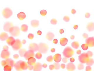 Rose gold petals flying cosmetics background.