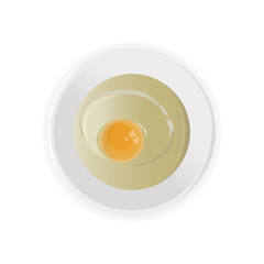 Raw chicken egg