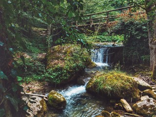 waterfall in forest