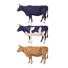 Different cows colors set