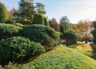 Park with green lawn, trees and trimmed bushes.