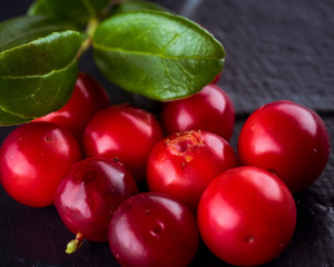Harvest fresh red Vaccinium vitis-idaea, cranberries, lingonberries, cowberries on rustic dark...