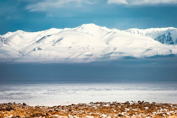 alpine kurai steppe at a height of 2000m