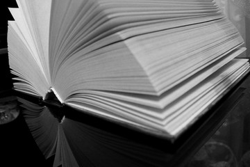 Naklejka premium The core of quiet and wise knowledge