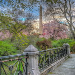 Fototapety  Central Park, Nowy Jork wiosną