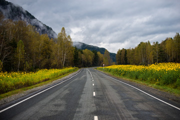 The road in the mountains of Altai