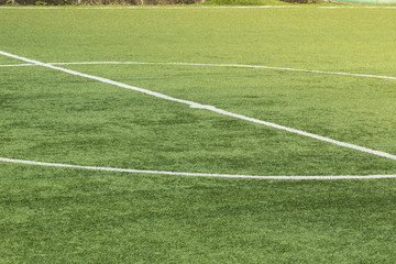 The grass on the soccer field