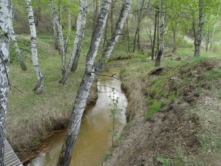 Река Соколка в селе Лох