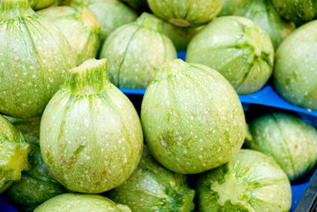 round courgette or zucchini, light green, at local fruit and vegetable market, agriculture, farmer, cultivation, food, diet, vitamins, nourishment, nutrition, Milan, Italy