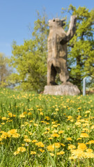 Smartphone HD wallpaper of big colorful flower field in spring