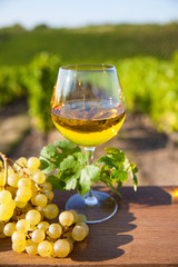 Verre de vin blanc en Pays Nantais © Thierry RYO
