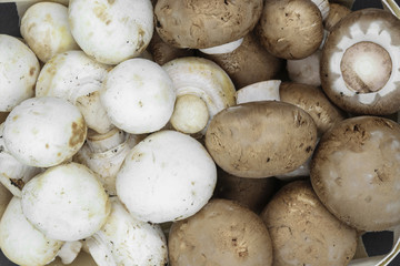Background surface top view of brown and white champignons mushrooms