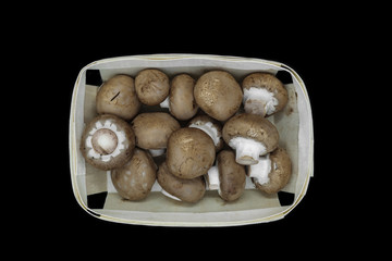 Top view of brown champignons mushrooms placed in wooden basket and isolated on black background