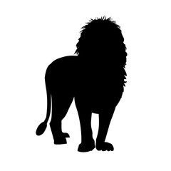 Silhouette of african lion