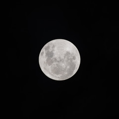 Obraz premium full moon in the sky