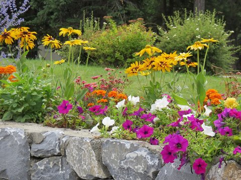jardin