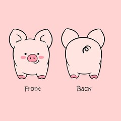 Obraz na płótnie Canvas Vector illustration of cartoon cute pink pig front view and back view drawn with a tablet, cute smiling character isolated on empty background with big ears
