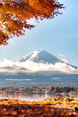 Colorful Autumn in Mount Fuji, Japan - Lake Kawaguchiko is one of the best places in Japan to enjoy Mount Fuji scenery of maple leaves changing color giving image of those leaves framing Mount Fuji.
