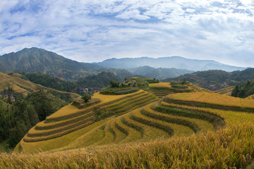 Obraz premium Longsheng ( Longji ) Rice Terraces Fields, Guangxi,&nbsp;China&nbsp;