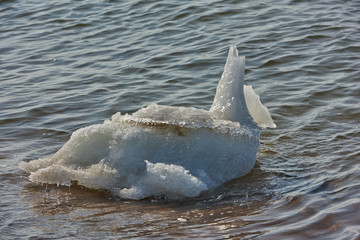 Naklejka premium The Baltic Sea in the winter